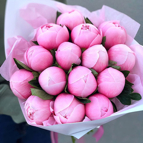 Фото товара 15 розовых пионов в Кривом Роге