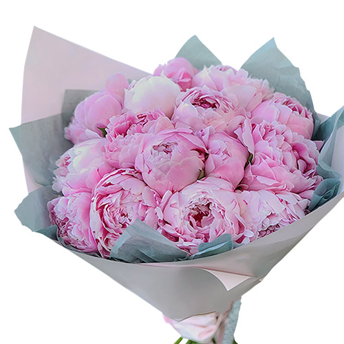 Фото товара 19 розовых пионов в Кривом Роге