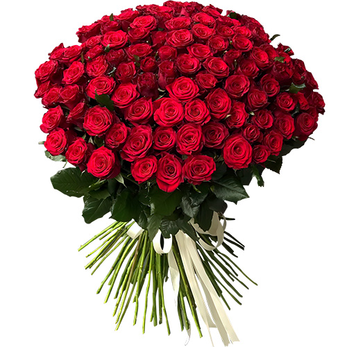 Фото товара 101 роза красная в Кривом Роге