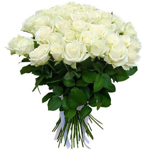 Фото товара 51 троянда біла в Кривом Роге