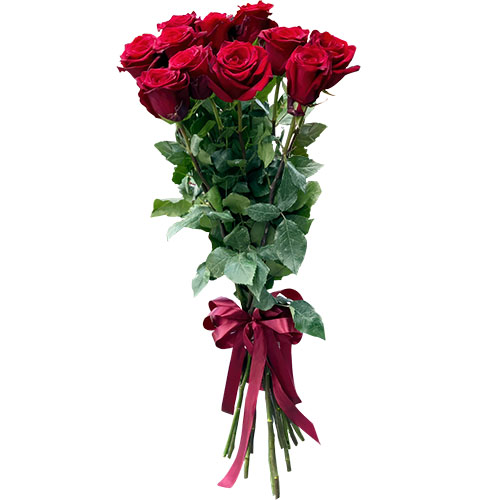 Фото товара 11 метровых роз в Кривом Роге