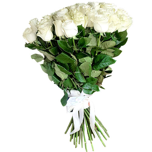 Фото товара 33 белые розы в Кривом Роге
