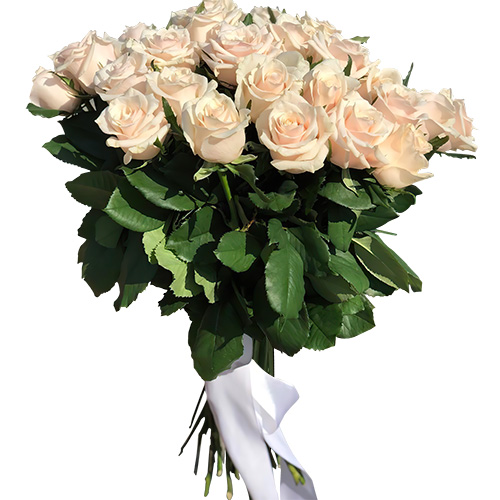 Фото товара Букет із 33 кремових троянд в Кривом Роге