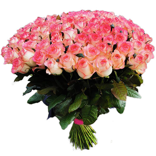 Фото товара Букет троянд 101 Джамілія в Кривом Роге