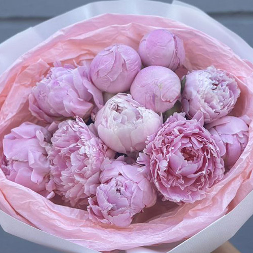 product category Peonies | Kryvyi Rih | «Кривріг Роза»